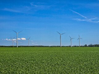 wind turbine on green field during springtime 