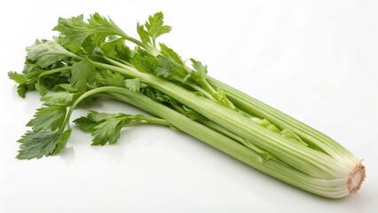 Fresh Celery Stalk