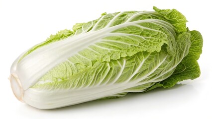Fresh Napa Cabbage