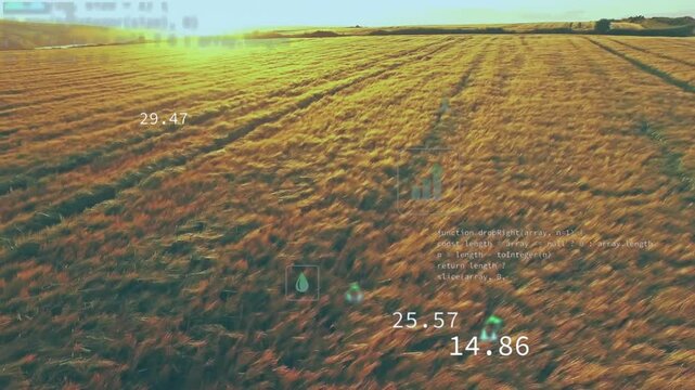 Foreground wheat field showing green starburst icons, water droplet, wind turbine, CO tile, code