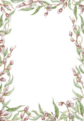 Rectangular Frame with Willow. Botanical watercolor illustration of pussy willow. Perfect for your spring-themed wallpaper, banners, textiles, postcards, or wrapping paper