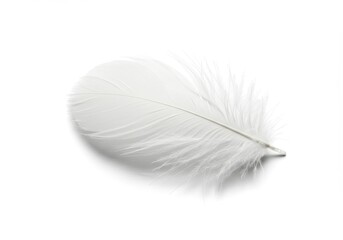 Fototapeta premium Single white feather lying softly on a clean, bright white surface, casting a subtle shadow