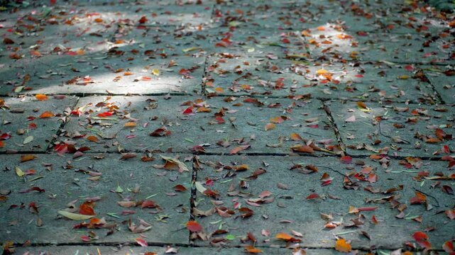 石畳を埋め尽くす落ち葉