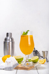 Fototapeta premium Trendy tea cocktail set, sparkling tea soda