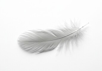 Fototapeta premium Single white feather gracefully resting on a clean, minimalist white background in soft light