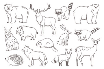 Collection of forest animals in outline style. Set of hand drawn forest animals.