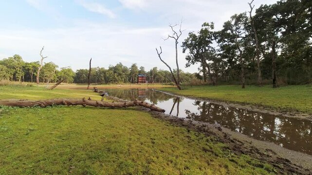 Black birds by Kamal Taal lake in Chitwan national park buffer zone birds animals observation point. Nepal famous travel destination
