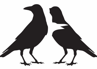 Obraz premium Two majestic crows in profile a striking black silhouette against a stark white background showcasing elegant avian
