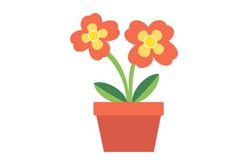 Two vibrant orange flowers bloom gracefully within a terracotta pot on a plain background