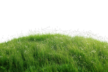 Serene grassy fields stretch across the landscape bordered by nature under a clear and open sky