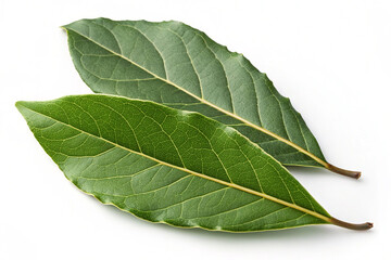 Obraz premium Fresh green bay leaf isolated on white background. A fresh green bay leaf isolated on a white background, ideal for cooking, herbs, and natural food