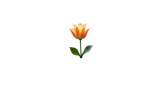 A Flower Placed Between Two Facing Mirrors – Creating an Infinite Series of Reflections That Grow.