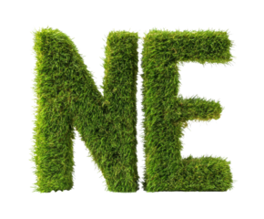 Green moss letters NE for eco-friendly design and decoration on a transparent background, cut out