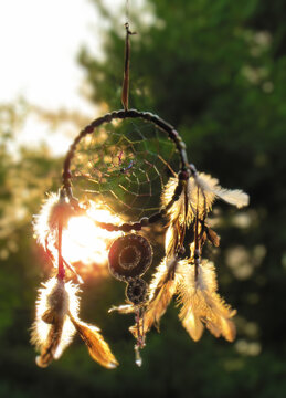 dreamcatcher on a branch