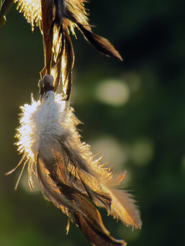 dreamcatcher close-up