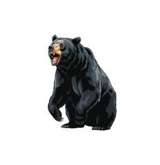Obraz premium Angry bear standing vector illustration isolated on white.
