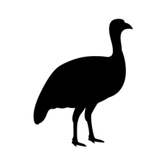 A monochrome silhouette of a brush turkey strutting on a white background