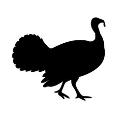 Black Silhouette of a Majestic Turkey Perfect for Thanksgiving Day Projects