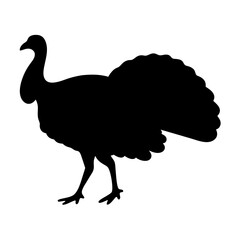 Striking silhouette of a turkey strutting against a clean white background