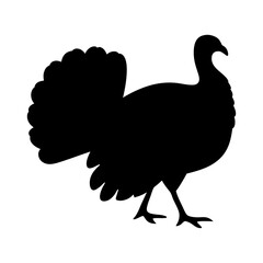 A striking silhouette of a majestic turkey standing on white background