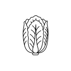 Fototapeta premium Napa cabbage icon representing concepts of healthy eating and fresh vegetables