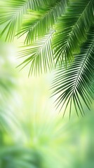 Obraz premium Lush tropical foliage. Vibrant green palm leaves, gently backlit, create a serene, natural backdrop. Soft focus highlights the delicate structure of the leaves and the surrounding greenery