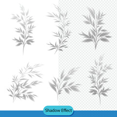 set of vector tree shadow