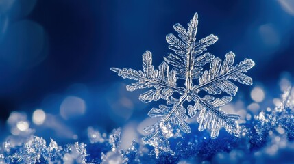stunning close-up of a single snowflake on a blue background