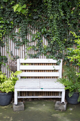 White chair in the middle of the garden