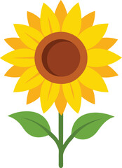 Sunflower vector illustration