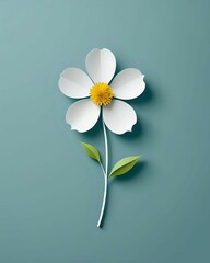 Obraz premium white flower on blue background