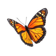 Fototapeta premium A vibrant orange and black butterfly in flight against a black background. Detailed wing patterns are visible