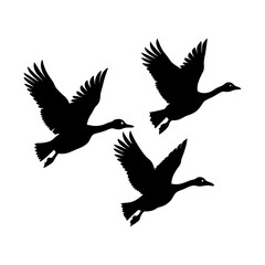 Flying Bird Silhouette Vector Icon Black Design on White Background.