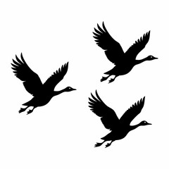 Flying Bird Silhouette Vector Icon Black Design on White Background.