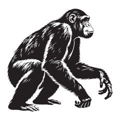 Stylized Chimpanzee Line Art Drawing Art & Illustration