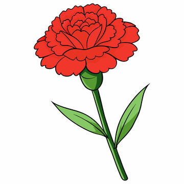 red carnation flower stem green leaves clip art preview