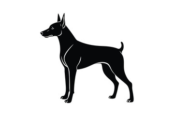 Obraz premium Silhouette art illustration of a Doberman Pinscher.eps