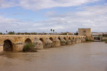 Obraz premium puente romano bridge in Cordoba, Spain