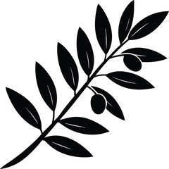 olive branch with leaves on white background