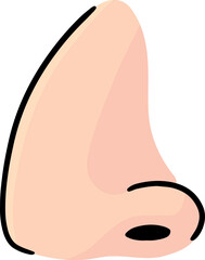 Illustration of nose

