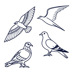 Obraz premium Bird Icon Pack Pigeons Seagulls Swallows in Stroke Outline Style