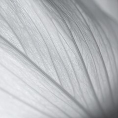 Obraz premium beautiful detailed abstract flower petal close up seamless wallpaper background, graphic resource