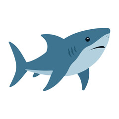 Great white shark Underwater hunter