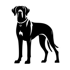 Fototapeta premium Great Dane Dog Silhouette Standing