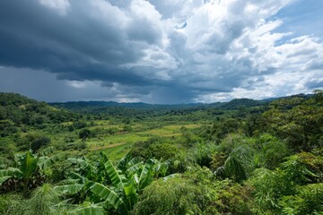 Fototapeta premium Lush Green Landscape Under Dramatic Clouds in Tropical Environment