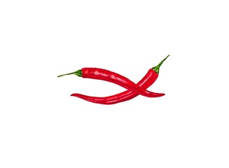 Two red chili peppers isolated on white background. Watercolor style illustration, minimalistic design.