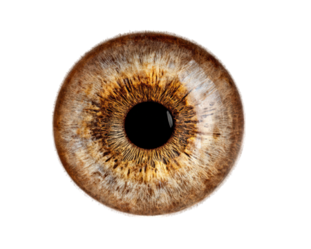 Detailed close up of brown eye showcasing intricate patterns and textures, emphasizing unique beauty of iris and pupil. image captures natural colors and features, evoking sense of wonder