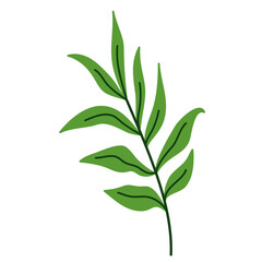 Leaf vector colorful on transparent background