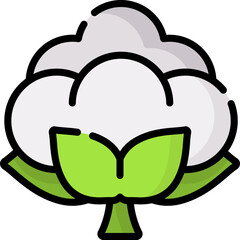Cotton illustration on a white background    