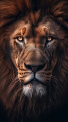 Naklejka premium intense lion head closeup with deep gaze wildlife concept